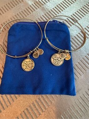 Alex and Ani Disney Parks Exclusive Mickey 2015 Bangle Set Rafaelian Silver